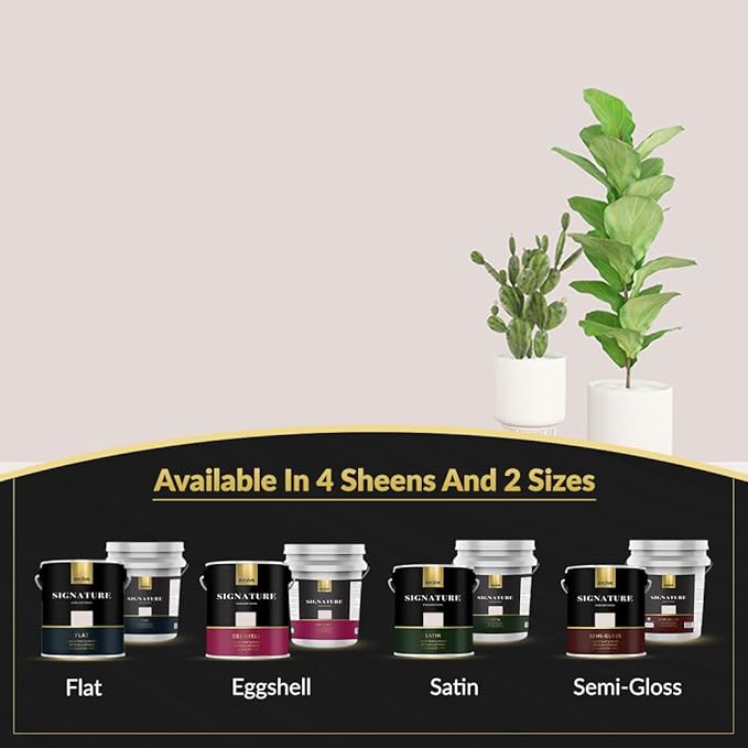 EVOLVE Signature Paint & Primer: Luxury Paint & Primer for Indoor & Outdoor Surfaces, Minimal Odor, Eggshell Sheen (Porcelain White, 5 Gallon)