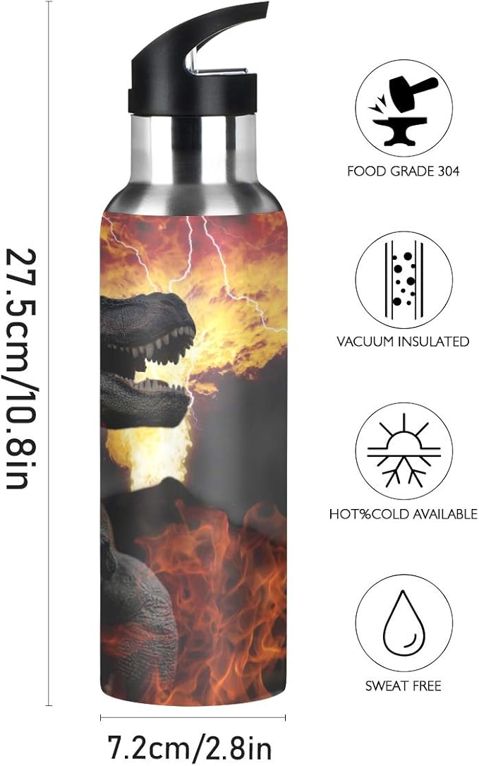 Blueangle Dinosaurs World Stainless Steel Water Bottle with Straw, BPA Free Reusable Leakproof Water Jug for Fitness Camping Outdoor Sports