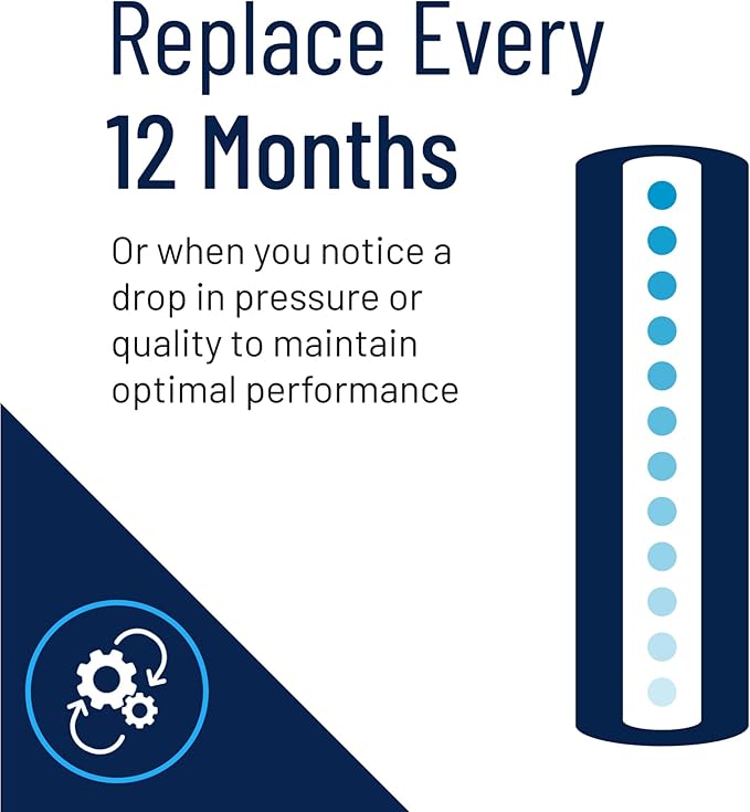 Pentair Pentek GAC-20BB Big Blue Carbon Water Filter, 20-Inch, Whole House Heavy Duty Granular Activated Carbon (GAC) Replacement Cartridge, 20" x 4.5"