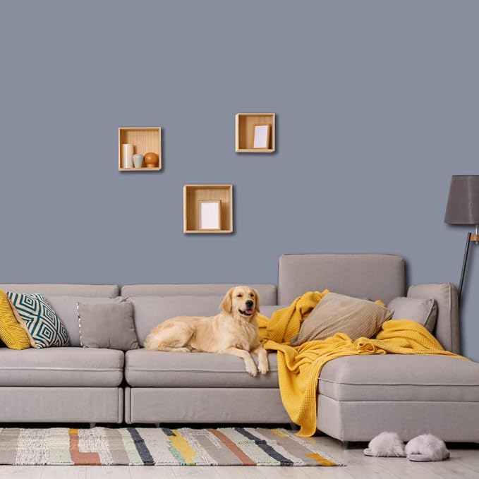 PRESTIGE Interior Paint and Primer in One, Chain, Eggshell, 1 Gallon