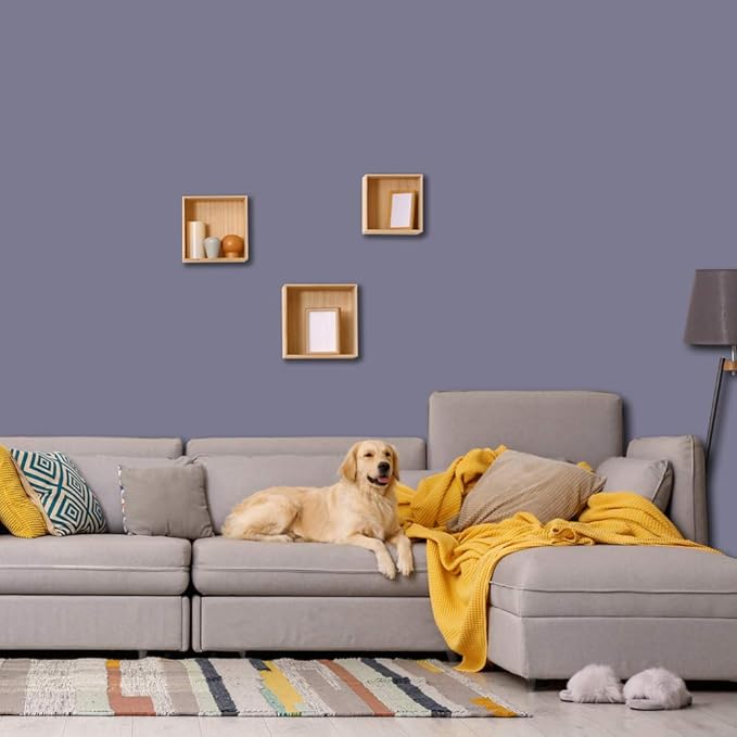 PRESTIGE Interior Paint and Primer in One, Bangle, Eggshell, 1 Gallon