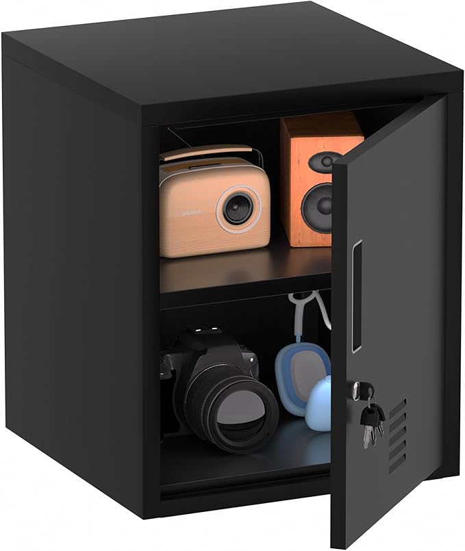 Metal Storage Locker Cabinet with Locking Door and Adjustable Shelf for Home Office Classroom Workshop Organization (Black)