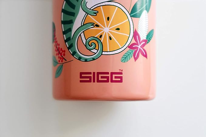 SIGG - Stainless Steel Kids Bottle - Shield One - Suitable For Carbonated Beverages - 17 Oz