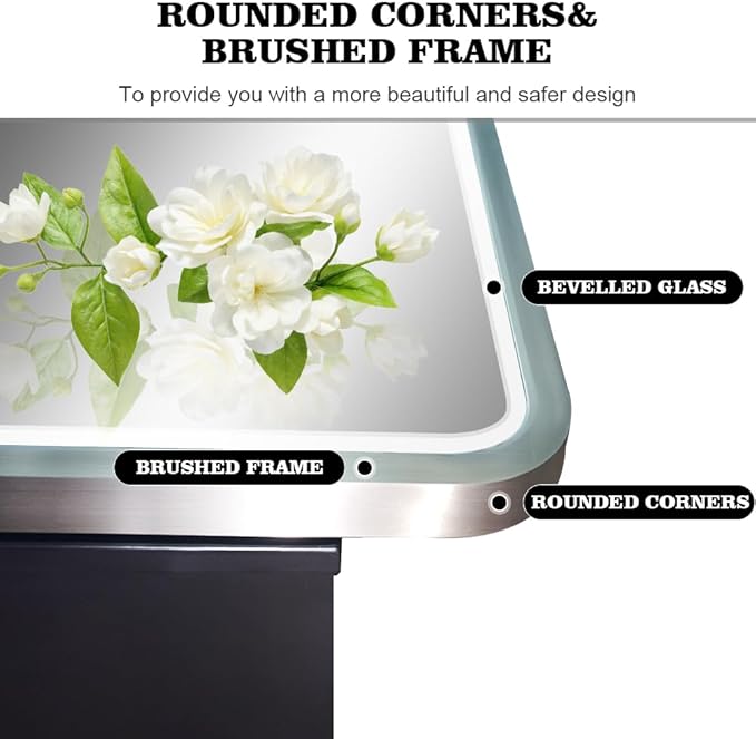 20×28inch Medicine Cabinet,Mirror Cabinet with Beveled Mirror,Solf Close Hinge,Brushed Metal Framed,Detachable Side Plate for Recess Mount or Surface Mount,Silver