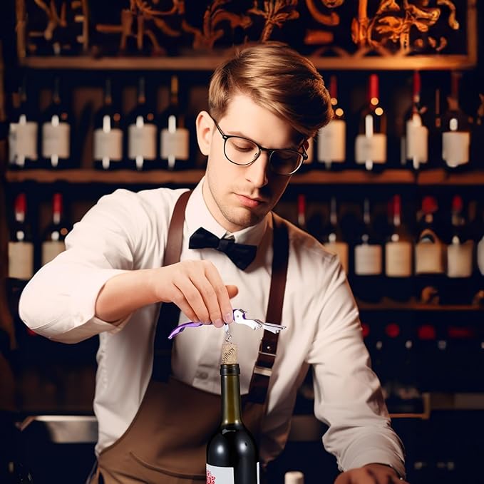 HYZ 2-Pack Wine Opener Waiter Corkscrew, Professional Wine Key for Servers, Bartender with Foil Cutter, Manual Wine Bottle Opener Double Hinged (Dark Purple)