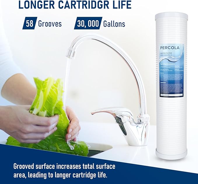 AP810-2 Large Capacity Whole House Replacement Water Filter Drop-in Cartridge, Use with AP802 Systems, 20 X 4.5 Inches (2 Pack)