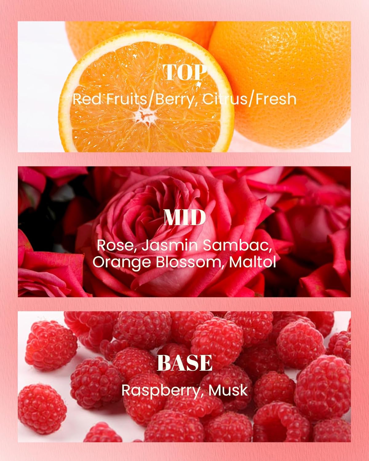 M&SENSE Citrus Floral Scented Soy Candles, Naturally Scented Vegan Soy Candle, 10oz 42-Hour Long Last Burning Time, No Toxin Bathtub Relaxing Stress Relief Home Fragrance for Women and Man