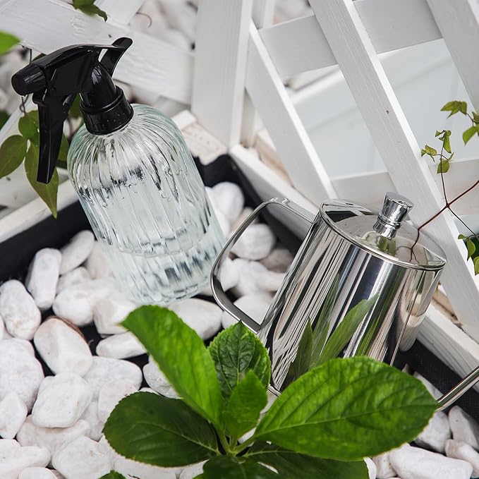 OFFIDIX Watering Can for Indoor Plants,Long Spout Metal Stainless Steel 21 oz/600 ml Watering Can with 14 oz/400ml Glass Plant Mister Spray Bottle for House Plant Bonsai