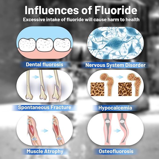Purewell FL-2 Fluoride Filter Elements, Additional Filter Elements for PB-2/BB8-2 Purification Elements and Purewell Stainless Steel Gravity Water Filter System (2 Pack)