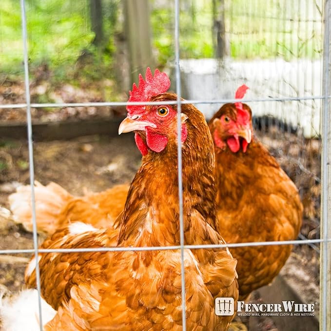 Fencer Wire Welded Wire Fence 12.5 Gauge, Galvanized Welded Fence Wire Roll, Mesh Size 4-Inch x 4-Inch, Hog Wire Fencing Cage, Multiple Use for Home Improvement & Animals Enclosure (6ft. x 50ft.)