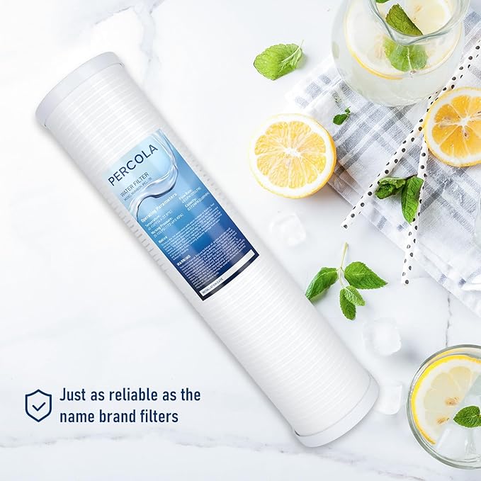 AP810-2 Large Capacity Whole House Replacement Water Filter Drop-in Cartridge, Use with AP802 Systems, 20 X 4.5 Inches (2 Pack)