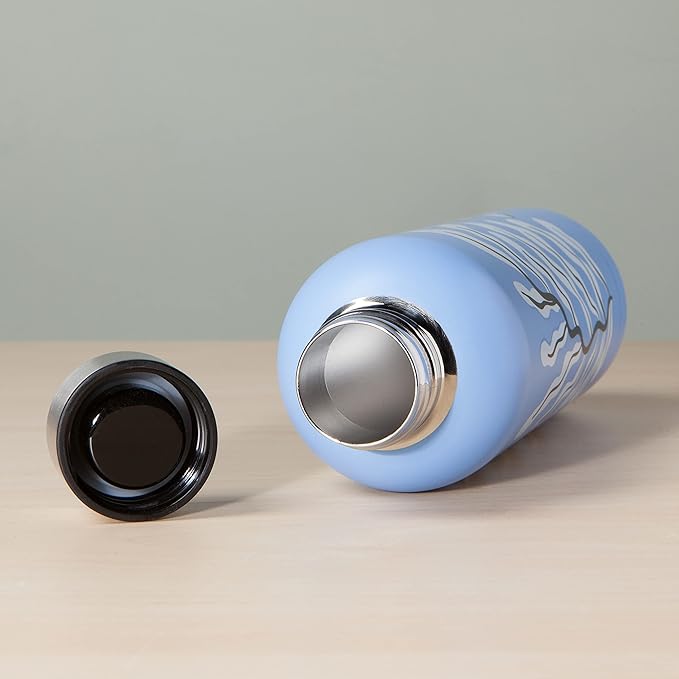 Danica Studio Entwine Stainless Steel Water Bottle Hot or Cold 17 Oz