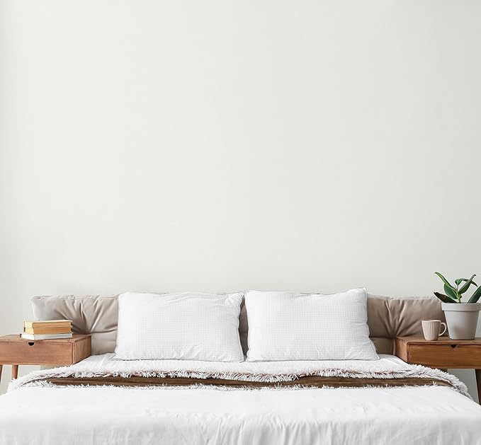 EVOLVE Paint & Primer: Environment-friendly, Eggshell with One-coat Coverage for Interior & Exterior surfaces (Cloud White, 1-Gallon)