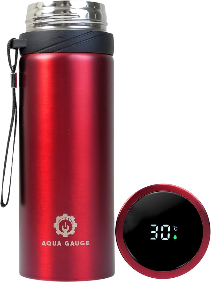 Stainless Steel Thermal Bottle, 600 mL, Digital Temperature Display, 4 Colors (Red)