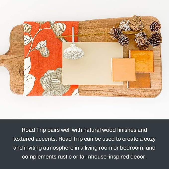 Country Chic All-in-One Chalk Paint for Furniture, Cabinets, Home Decor, Eco-Friendly, Matte Finish, Built-In Primer & Top Coat for Wood, Metal - Road Trip (Tan) - Quart 32 oz (950 ml)