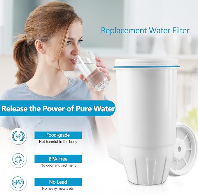 Water Filter Replacement Compatible with Ze.ro Pitcher and Dispensers ZR-001, ZR-017, ZP-006 ZD-013 ZS-008, Multi-Stage Filter System, Reduces Lead,TDS, PFOA/PFOS, Chlorine and More, Pack of 2