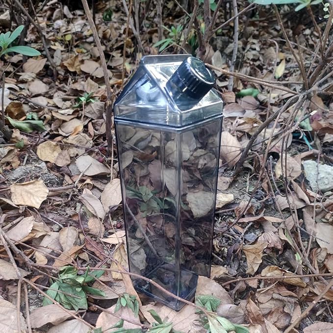 Jinberry 1000ml/34oz Cute Leakproof Clear Milk Carton Water Bottle Portable Drinkware for Outdoor Climbing Tour or Camping