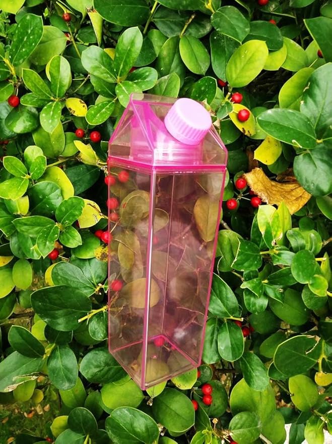 Jinberry 750ml/25Oz Cute Milk Carton Water Bottle Portable Drinkware for Outdoor Climbing Tour or Camping