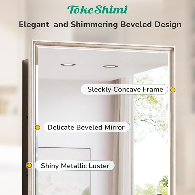 TokeShimi 17x25 Beveled Mirrored Medicine Cabinet Wall Mounted or Recessed Medicine Cabinet with Mirror for Bathroom Brushed Nickel, Aluminum Framed Metal Mirror with Storage Adjustable