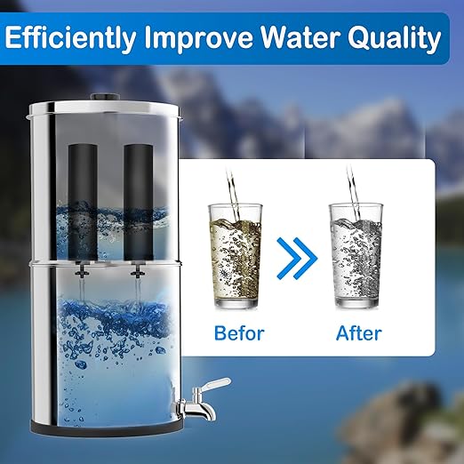 Water Filter Compatible with Berkey® Countertop Gravity Filter System Replacement for Berkey® Purification Elements Reduce Chlorine Black (Pack of 2)