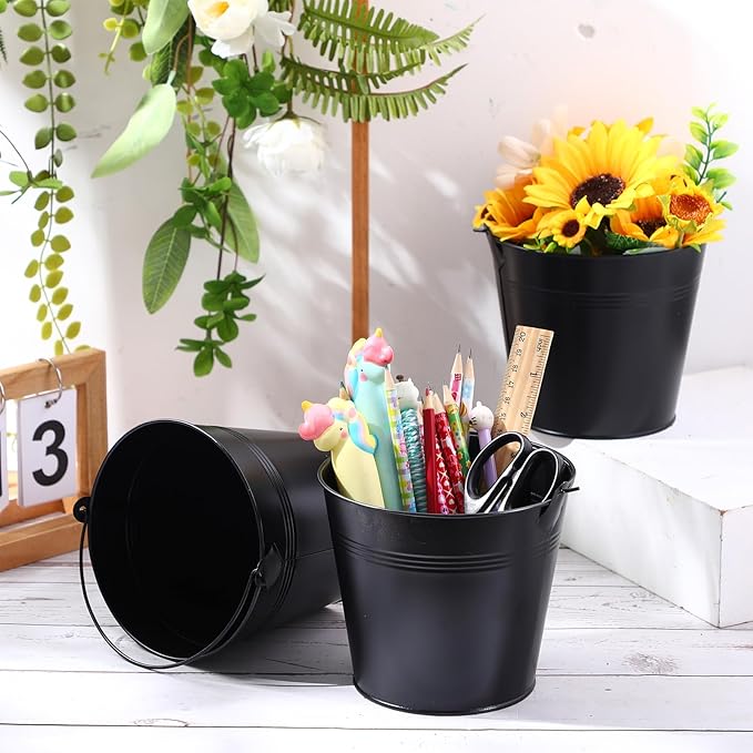 Rtteri 24 Pcs Metal Bucket, Small Metal Bucket, Party Favor Buckets with Handle, 6 x 5 Inch Ice Bucket for Kids, Flower Pot Plant Basket, Mini Toy Containers for Crafts Candy (Black)
