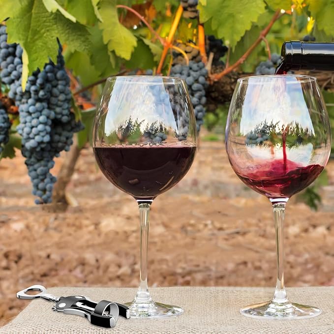 KORCCI Wine Opener, Wine Bottle Opener, Zinc Alloy Wing Corkscrew Heavy Duty, Cork Screw Beer Opener for Bartenders, Multifunctional Bottle Opener for Home Kitchen, Restaurant, Bar, Waiters