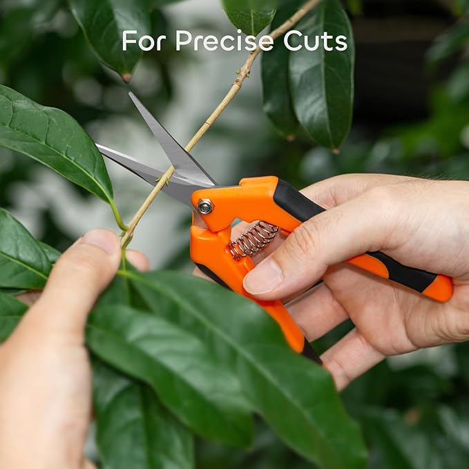 GROWNEER 3 Packs 6.5 Inch Pruning Shears Gardening Hand Pruning Snips Gardening Scissors with Straight Stainless Steel Precision Blades