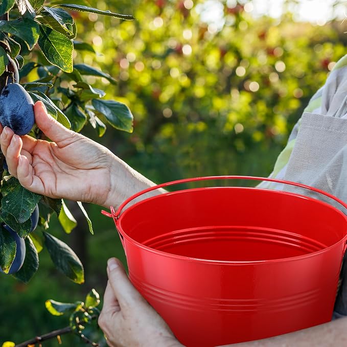 Rtteri 24 Pcs Metal Bucket, Small Metal Bucket, Party Favor Buckets with Handle, 6 x 5 Inch Ice Bucket for Kids, Flower Pot Plant Basket, Mini Toy Containers for Crafts Candy (Red)