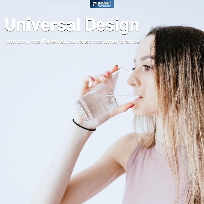 Purewell FL-2 Fluoride Filter Elements, Additional Filter Elements for PB-2/BB8-2 Purification Elements and Purewell Stainless Steel Gravity Water Filter System (2 Pack)