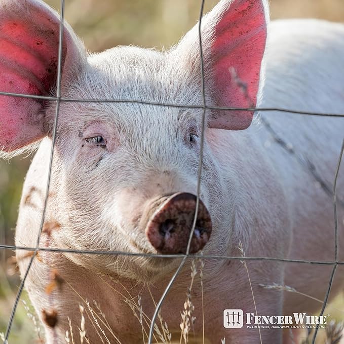 Fencer Wire Welded Wire Fence 12.5 Gauge, Galvanized Welded Fence Wire Roll, Mesh Size 4-Inch x 4-Inch, Hog Wire Fencing Cage, Multiple Use for Home Improvement & Animals Enclosure (4ft. x 50ft.)