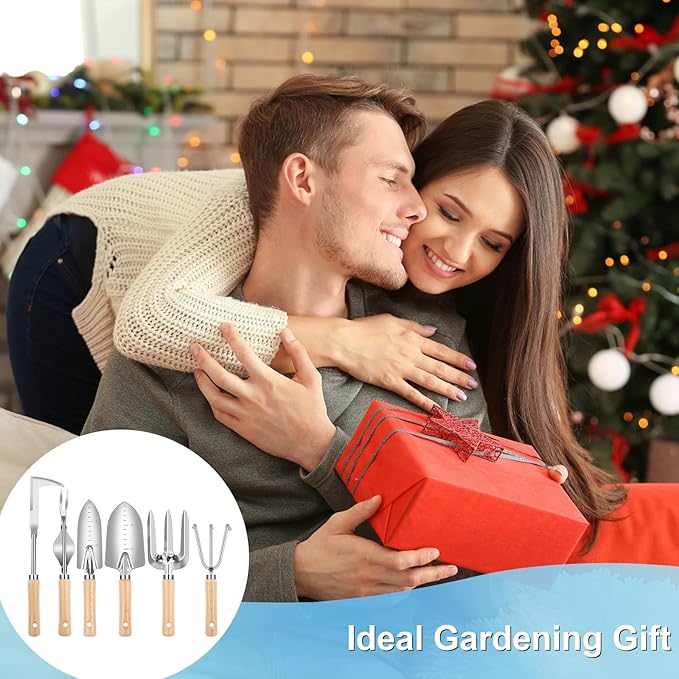 Weed Puller Tool, 6 Piece Stainless Steel Heavy Duty Weeding Tool, Weed Puller, Crack Weeder Tool, Weed Remover Tool with Ergonomic Wooden Handle, Gardening Gifts for Women