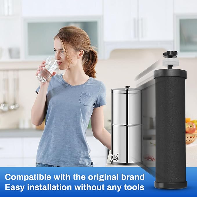 PB-2 Black Purification Elements, Replacement Filters for PB-2/BB8-2 Purification Elements and Gravity Water Filter System,Compatible with Gravity Filter System,King, Big Series(2 Pack)