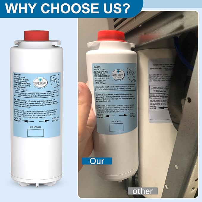 Filter Replacement for Elkay 51300C WaterSentry EWF3000 (9" No Chip - 2 Pack)