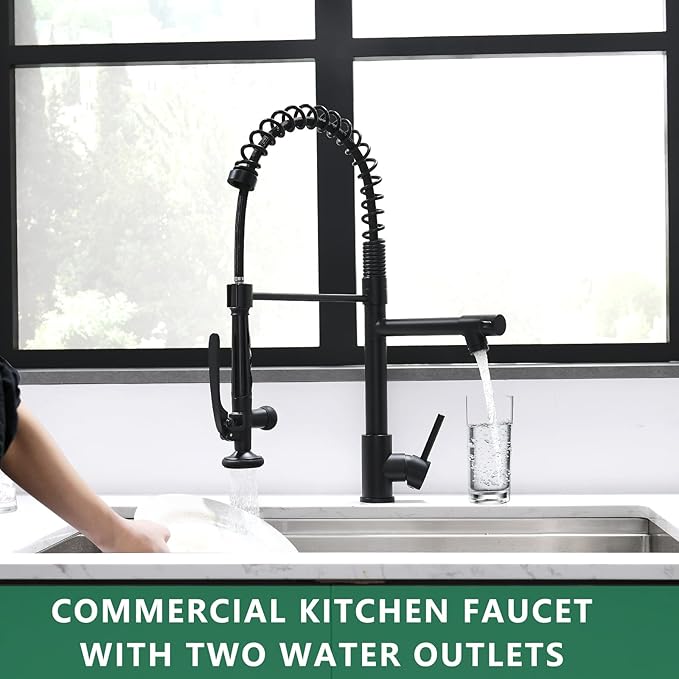 Fapully Black Kitchen Faucet,Commercial Pull Down Kitchen Sink Faucet with Sprayer