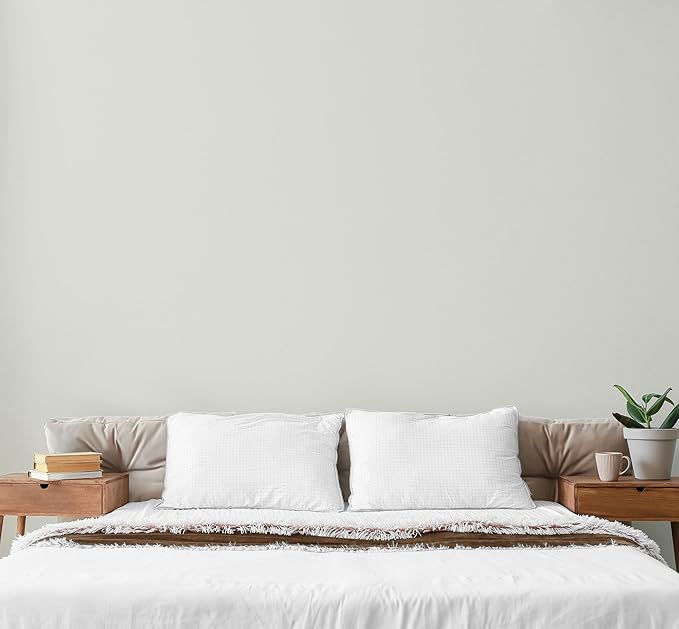 EVOLVE Paint & Primer: Environment-friendly, Low Sheen with One-coat Coverage for Interior & Exterior surfaces (Antique White, 5-Gallon)