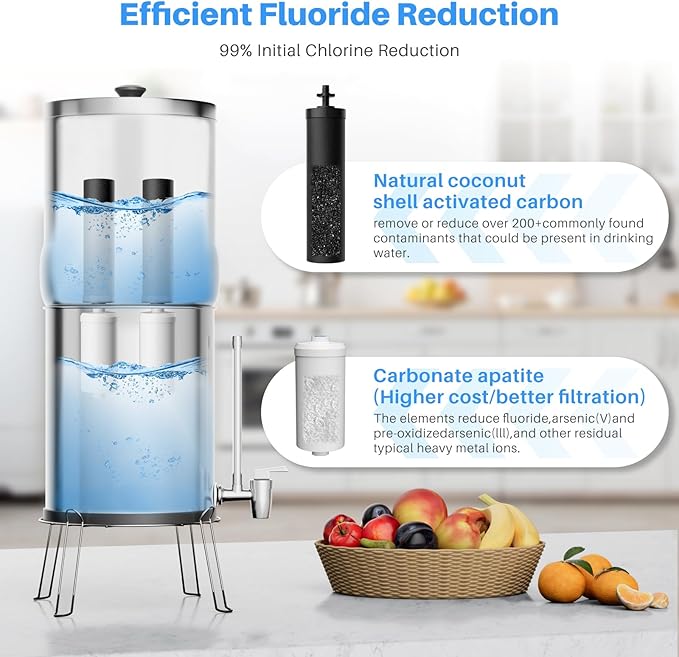 Water Filter Replacement for Berkey® Gravity Water Filter System, Compatible with Berkey® BB9-2® Black Filters & PF-2® Fluoride Filters,Combo Pack.