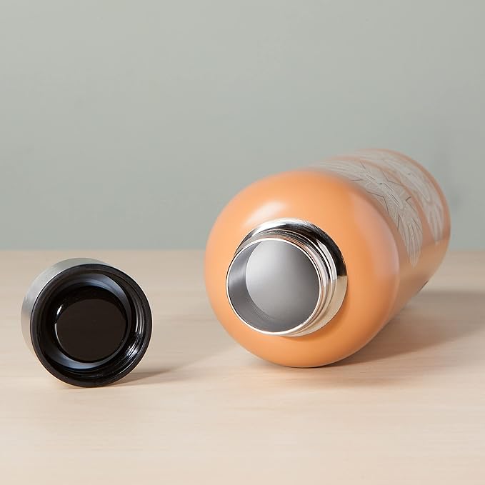 Danica Studio Soleil Stainless Steel Water Bottle Hot or Cold 17 Oz