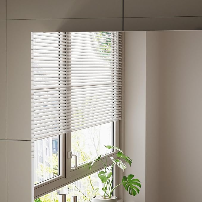 Bathroom Medicine Cabinet with Mirror, 20 Inch x 24 Inch Bathroom Mirror Cabinet with Single Door & Adjustable Shelves, Surface Mount or Recess Installation