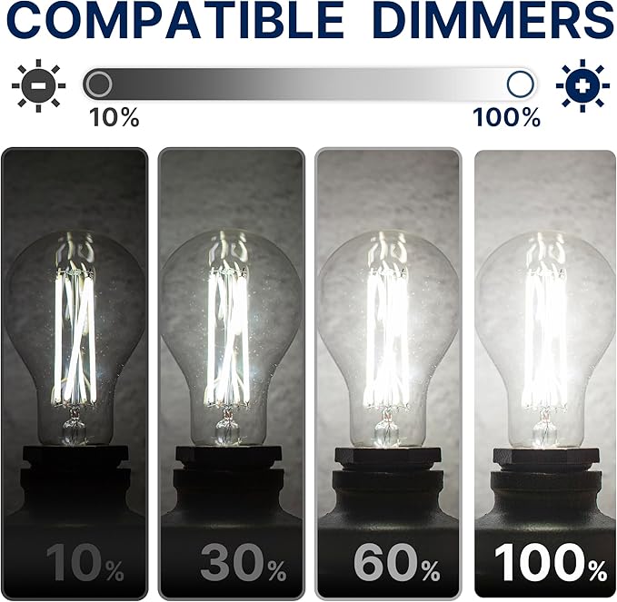 FLSNT 100W Equivalent Dimmable A21 LED Light Bulbs, Efficient 12W, 1600Lumens, 5000K Daylight, CRI90, E26 Medium Base, Clear Glass, 4 Pack