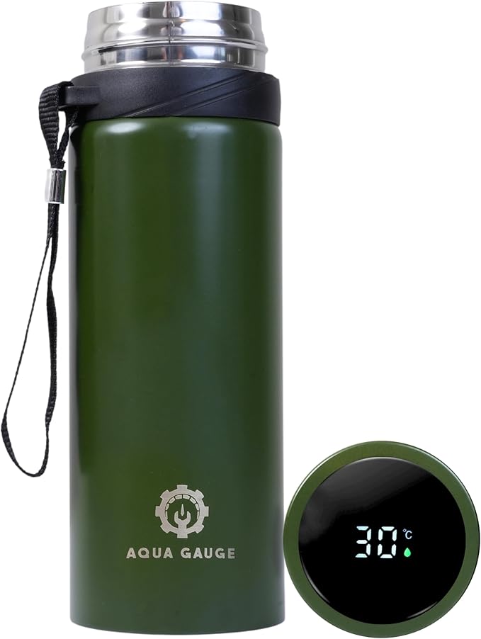 Stainless Steel Thermal Bottle, 600 mL, Digital Temperature Display, 4 Colors (Green)