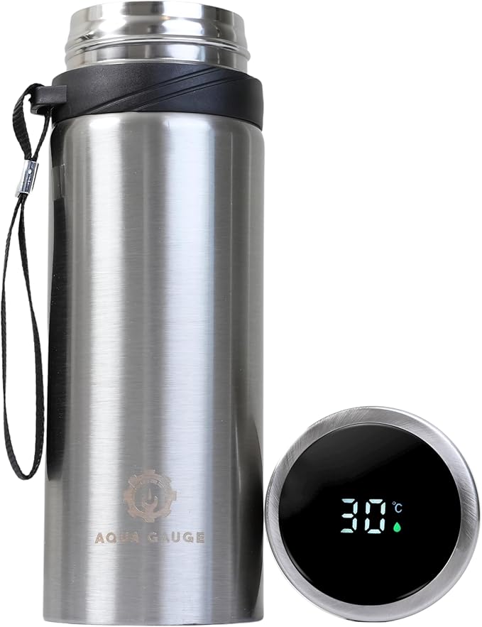 Stainless Steel Thermal Bottle, 600 mL, Digital Temperature Display, 4 Colors (Silver)
