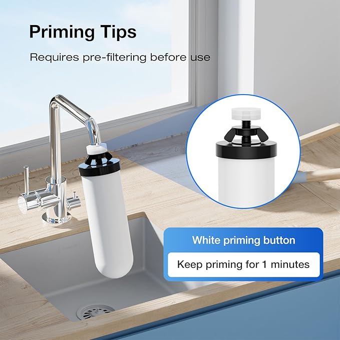 Purewell TC-2 Ceramic Purification Elements, Replacement Filters for ProOne® and Berkey® Filters, ProOne® Big+ or Berkey® Big Countertop Gravity Water Filter System and Purewell System (2 Pack)