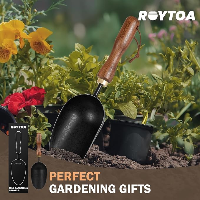 Soil Scoop Garden Trowel, Garden Spade with Ergonomic Walnut Handle, Small Hand Shovel for Transplanting, Digging and Cultivating