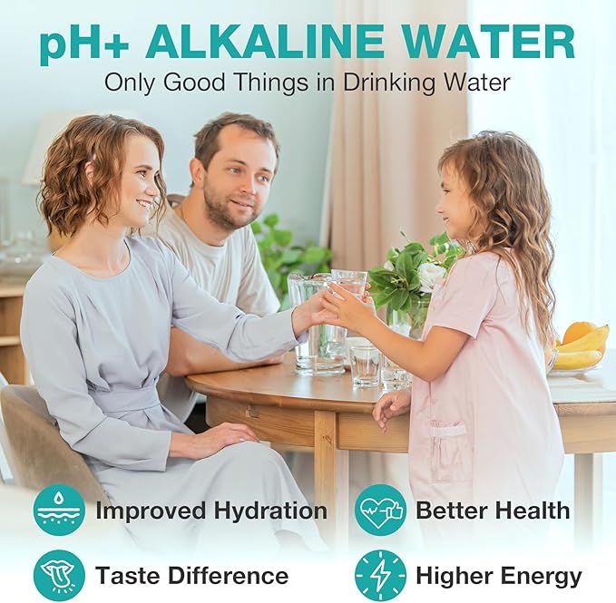 SimPure T1-400ALK 1-Year Replacement Filter Cartridge Pack Set for T1-400ALK Tankless Reverse Osmosis Water Filter System (2*PP Filter+2*CTO Filter+1*RO Filter+2*ALK Filter)