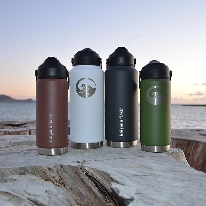 Insulated Stainless Steel Water Bottle (Charcoal (Lanahu), 18 oz)