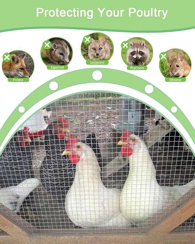 Hardware Cloth 36in x 10ft 1/4 Inch 22 Gauge, Hot-Dipped Galvanized Welded Wire Mesh, Low Carbon Steel, Animal Cage Wire Netting, Garden Wire Mesh