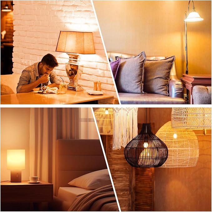 dalattin A19 Vintage LED Edison Bulbs, 60W Equivalent Light Bulbs, 2700K Soft White, Clear Glass Filament Bulb, Efficient 8W, E26 Base, 800 LM, CRI80+, Non-Dimmable for Home, Farmhouse, 24 Pack