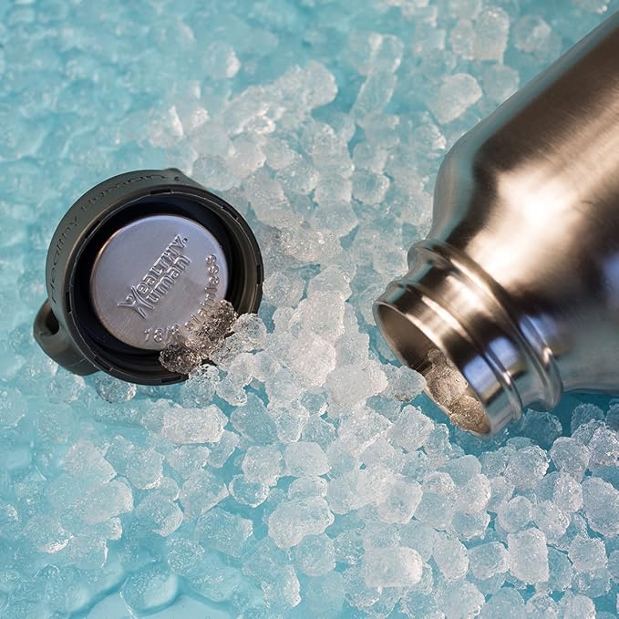 Healthy Human Stainless Steel Water Bottle | Double Walled Vacuum Insulated Water Thermos for Adults | Eco-Friendly Travel Bottles with Leak Proof Lid (Brushed Steel, 21 oz/ 621 ML)