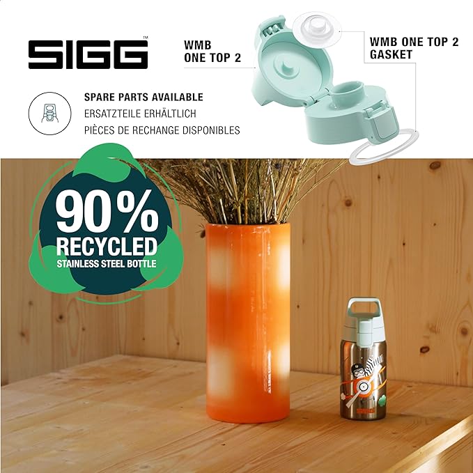 SIGG - Stainless Steel Kids Bottle - Shield One - Suitable For Carbonated Beverages - 17 Oz