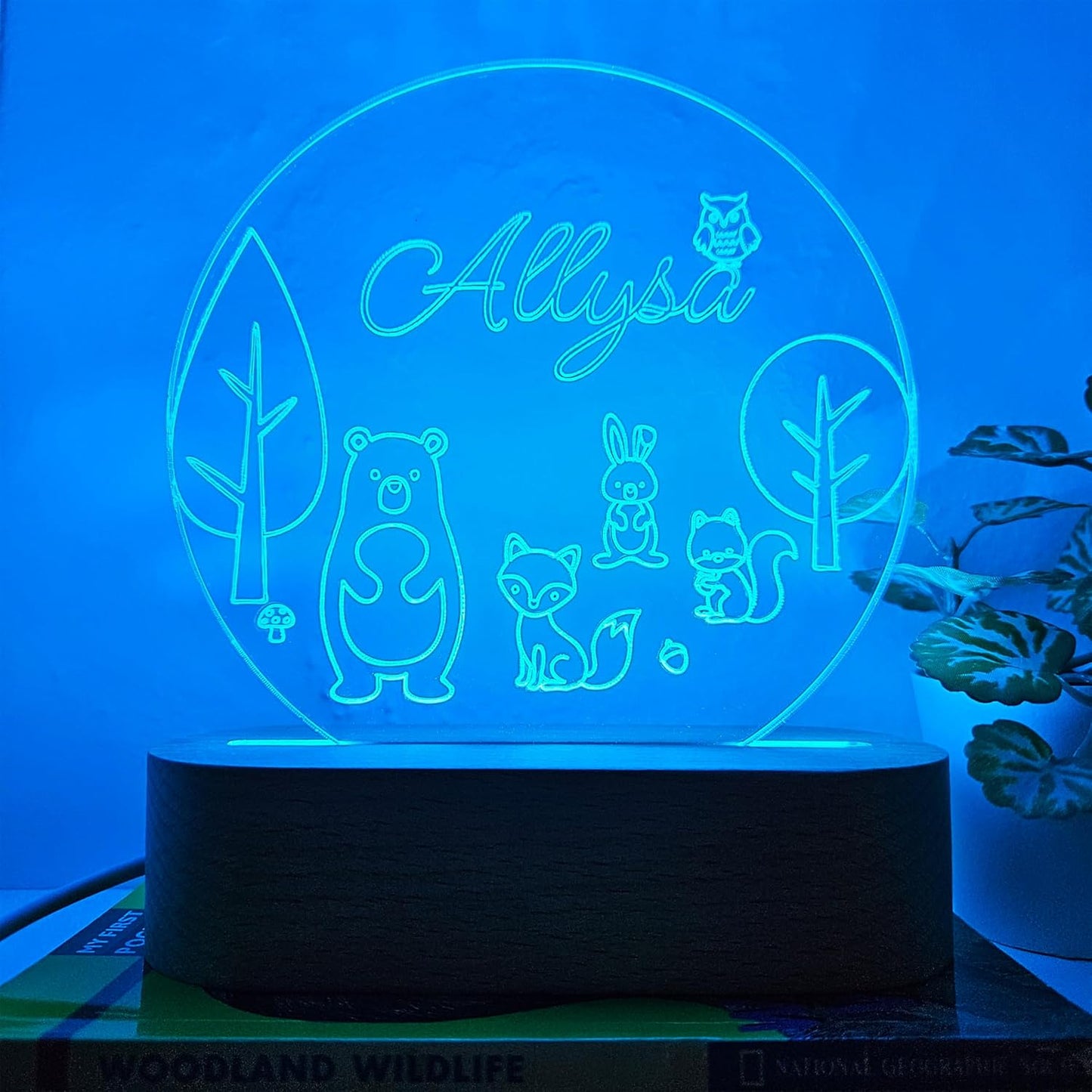 Personalized Night Light | Custom Nightlight for Kids | Nursery Baby Room Decor | Children's Bedroom Gift | LED colors | Stars Night Light (Woodland Critters)